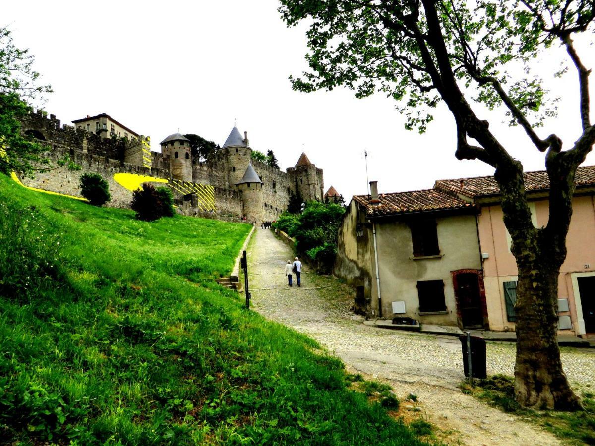 cote de la cite medievale Carcasona Exterior foto
